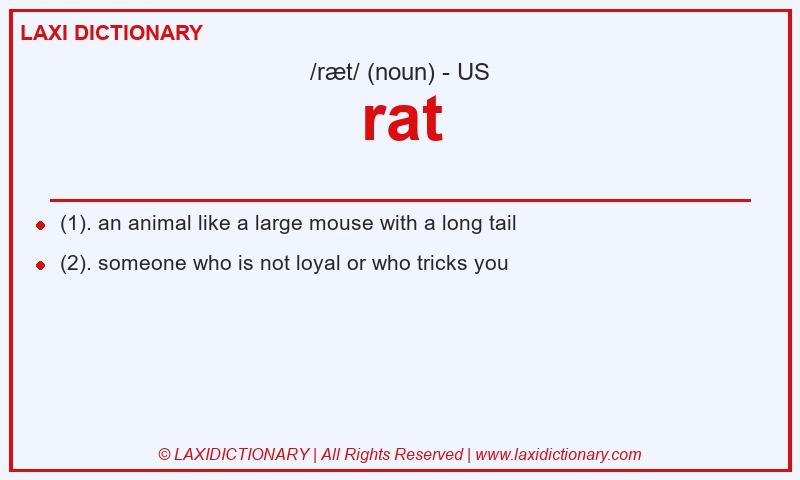 Definition rat in American English