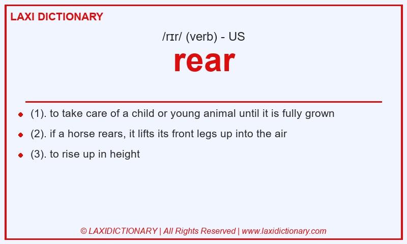 Definition rear in American English
