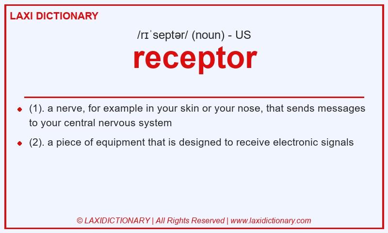 Definition receptor in American English