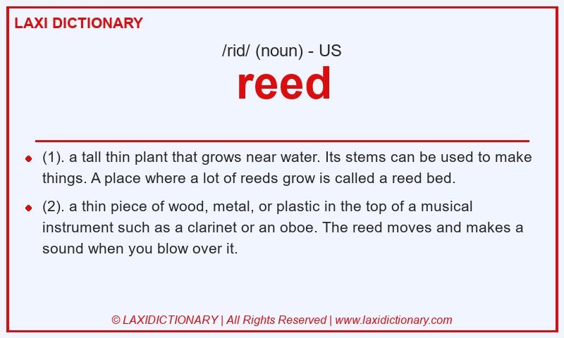 Definition reed in American English