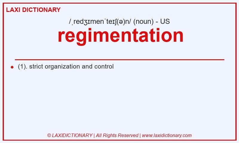Definition regimentation in American English