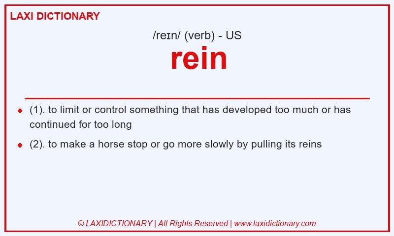 Definition rein in American English