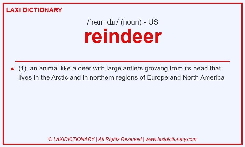 Definition reindeer in American English