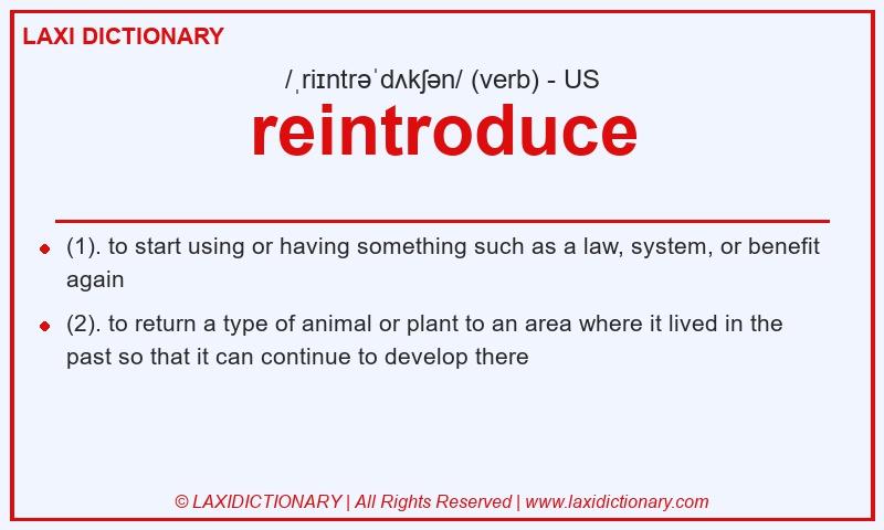 Definition reintroduce in American English