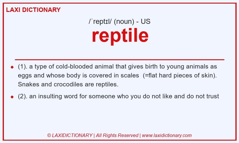 Definition reptile in American English
