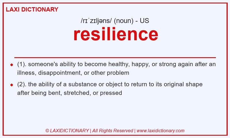Definition resilience in American English