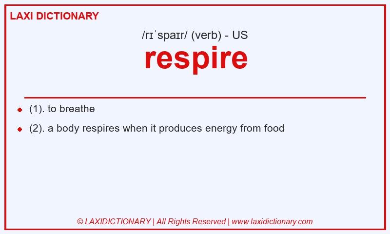 Definition respire in American English
