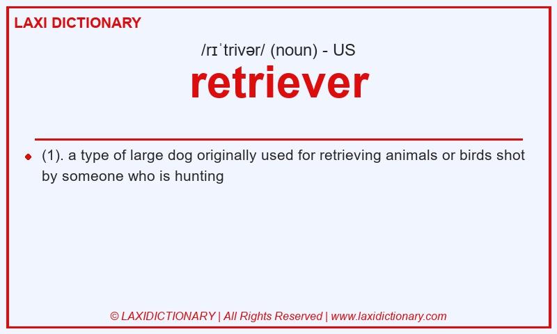 Definition retriever in American English