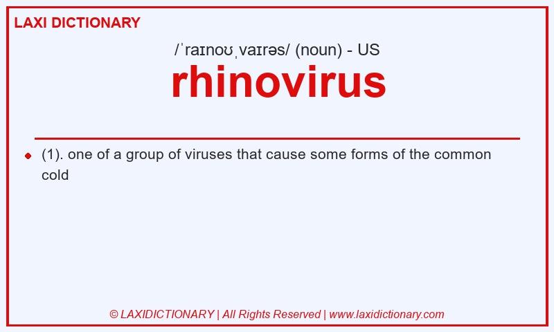 Definition rhinovirus in American English