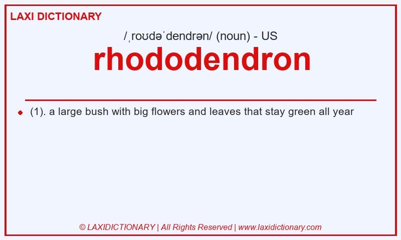 Definition rhododendron in American English