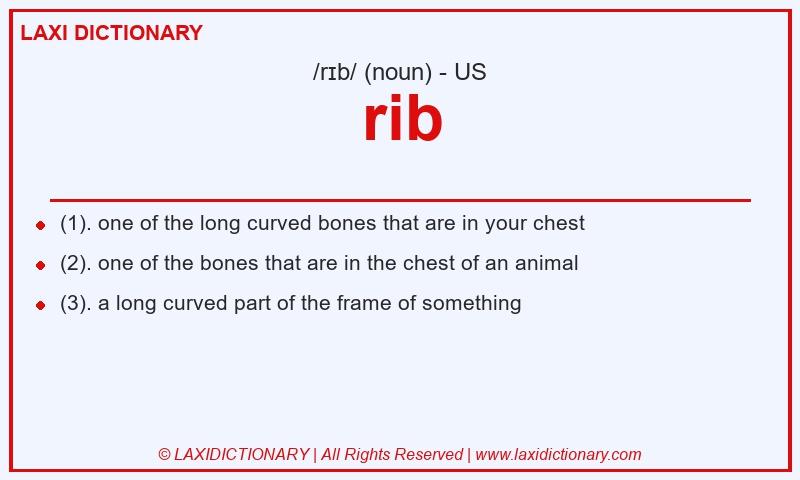 Definition rib in American English