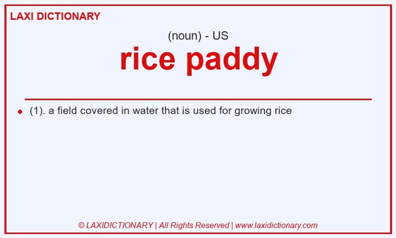 Definition rice paddy in American English