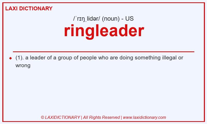 Definition ringleader in American English