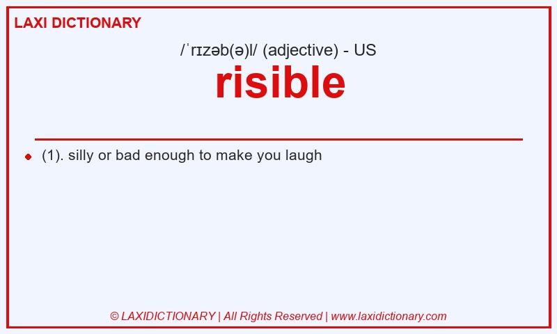 Definition risible in American English