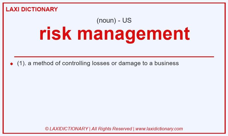 Definition risk management in American English