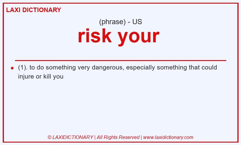 Definition risk your in American English