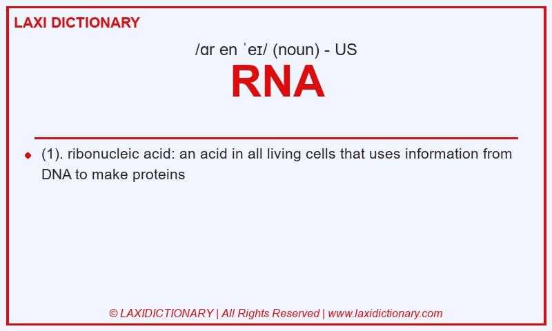 Definition RNA in American English