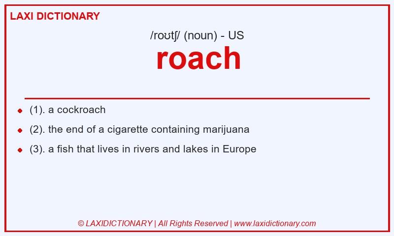 Definition roach in American English