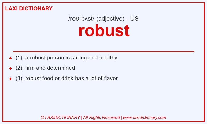 Definition robust in American English