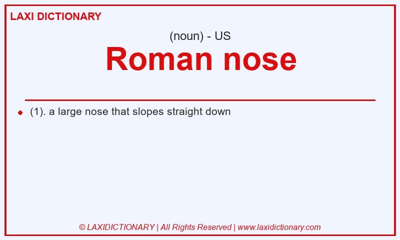 Definition Roman nose in American English