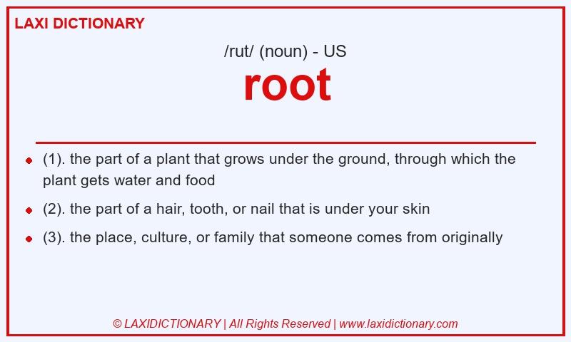 Definition root in American English