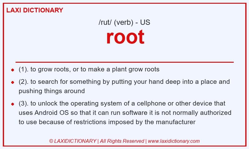 Definition root in American English