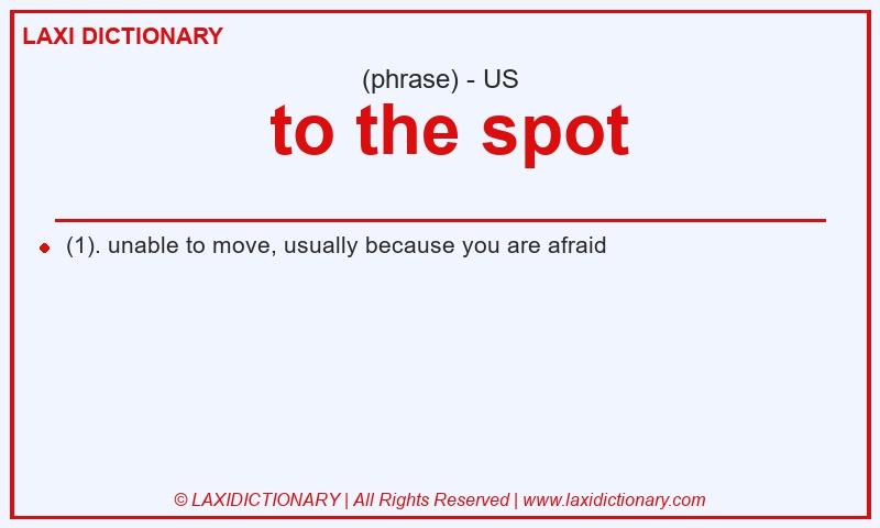 Definition to the spot in American English