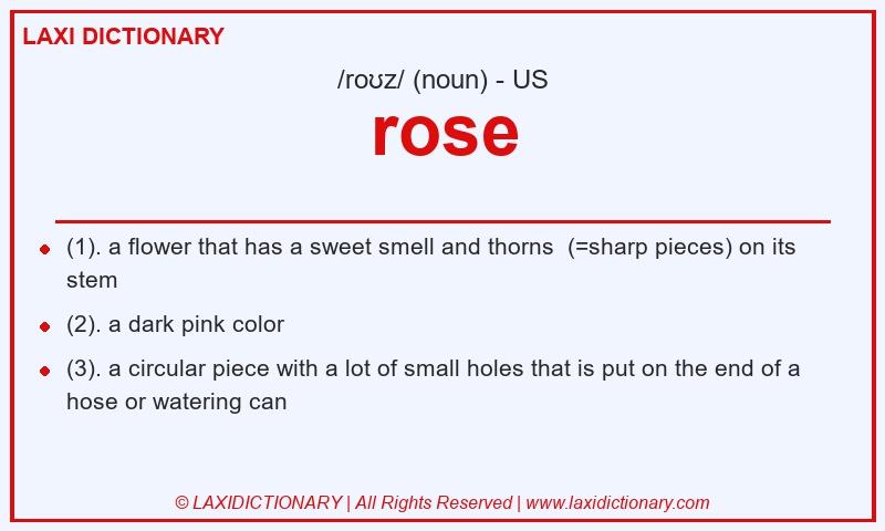 Definition rose in American English