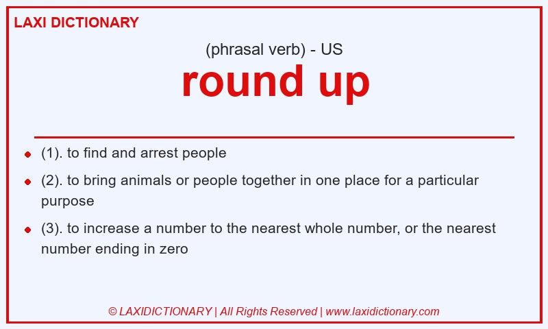 Definition round up in American English