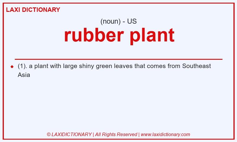 Definition rubber plant in American English