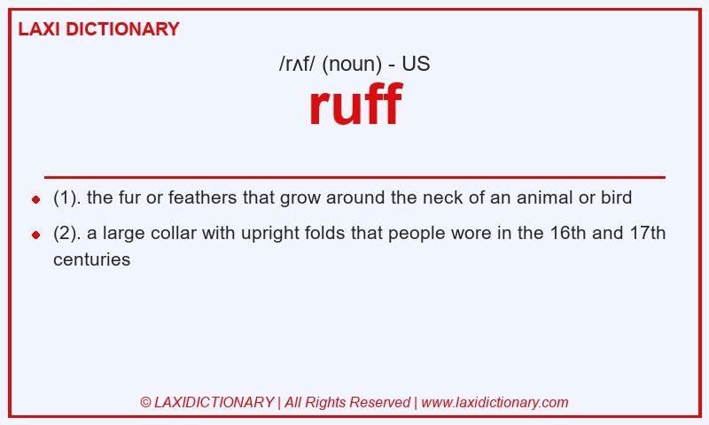 Definition ruff in American English