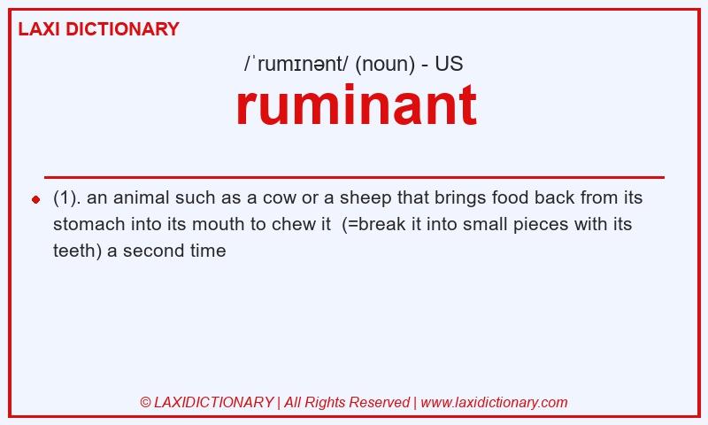 Definition ruminant in American English