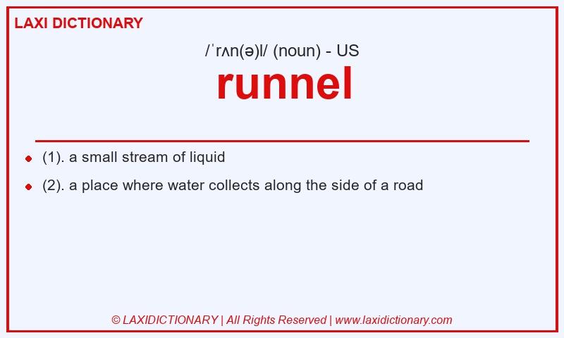 Definition runnel in American English