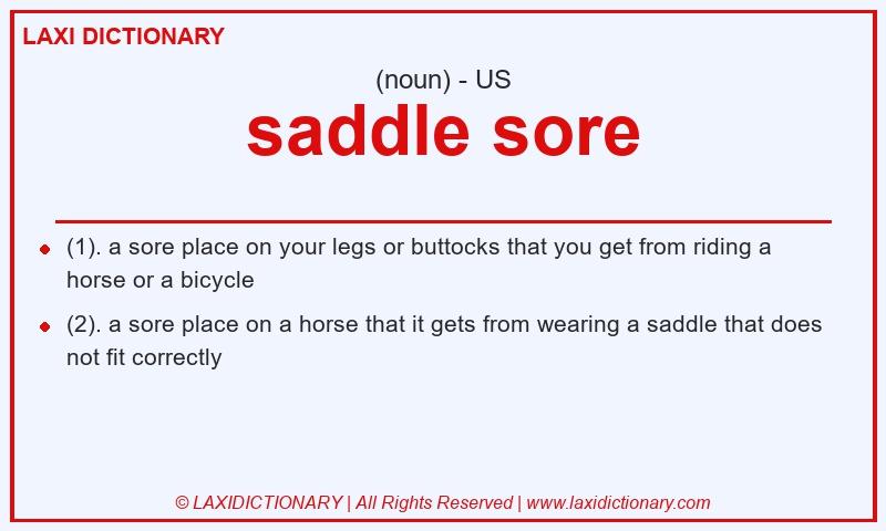 Definition saddle sore in American English