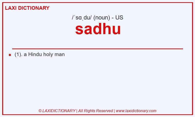 Definition sadhu in American English