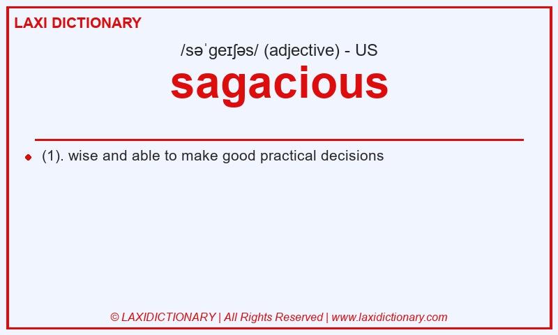 Definition sagacious in American English
