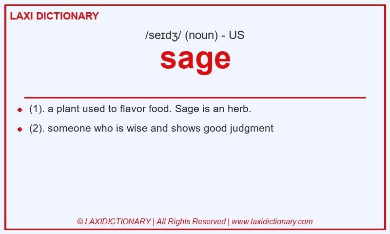 Definition sage in American English