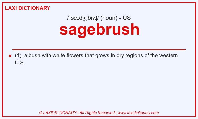 Definition sagebrush in American English