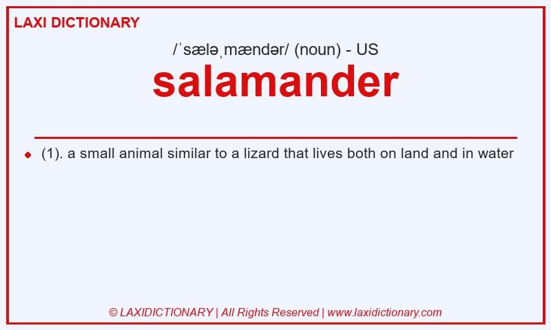 Definition salamander in American English