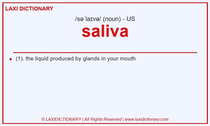 Definition saliva in American English