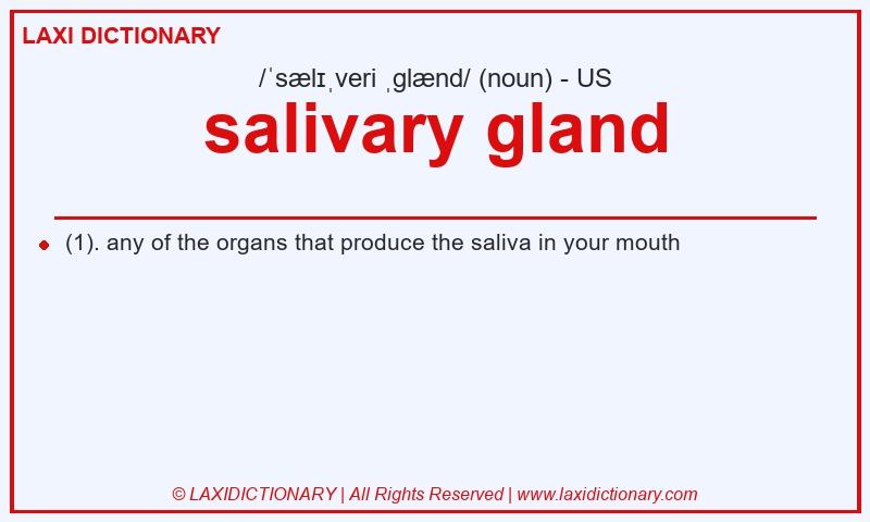Definition salivary gland in American English
