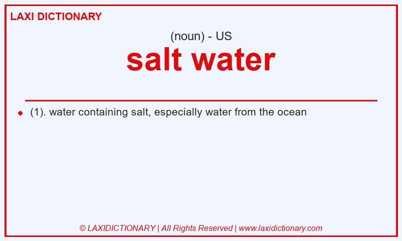 Definition salt water in American English