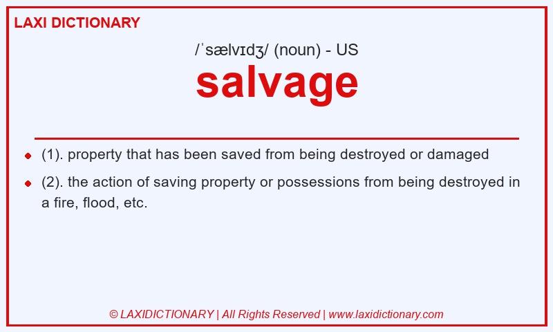 Definition salvage in American English