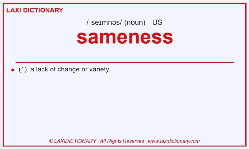 Definition sameness in American English