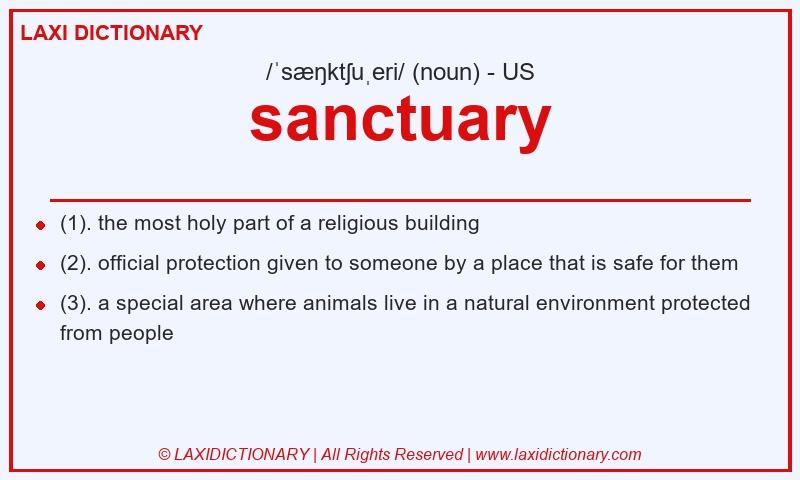Definition sanctuary in American English