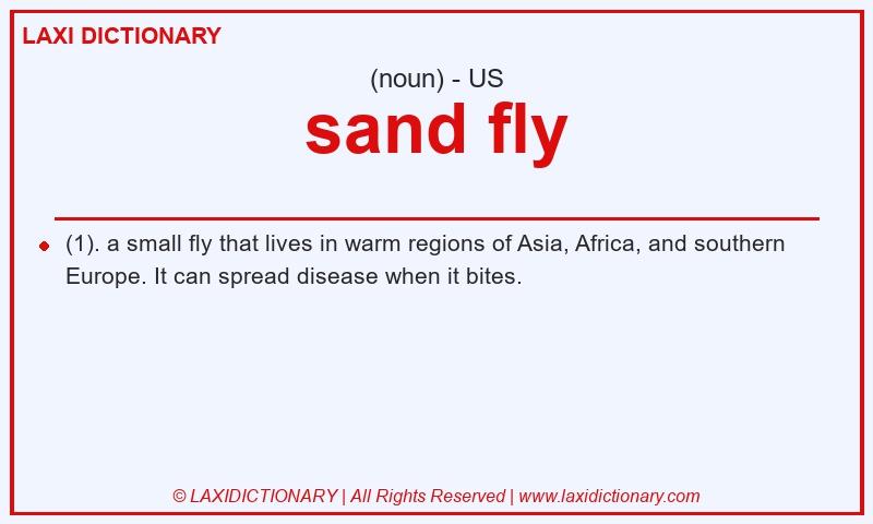Definition sand fly in American English