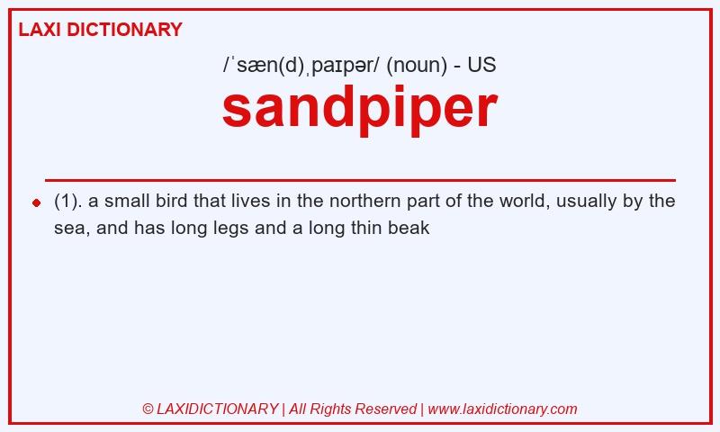 Definition sandpiper in American English