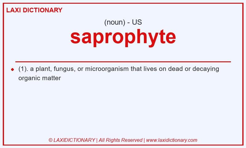 Definition saprophyte in American English