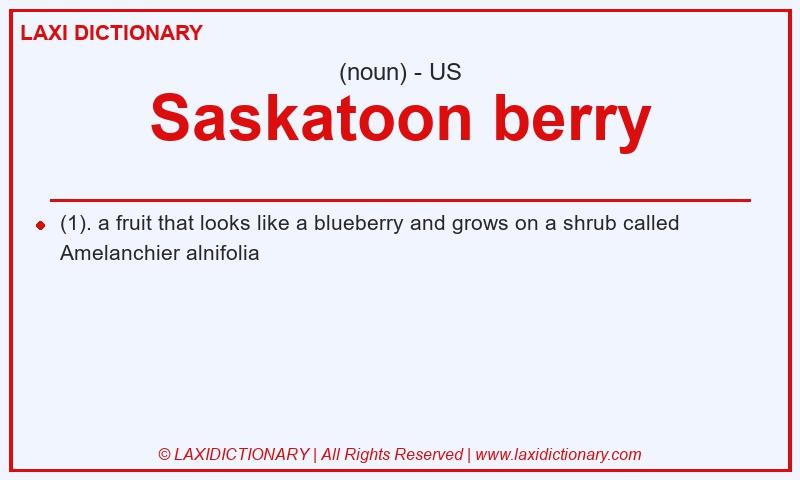 Definition Saskatoon berry in American English