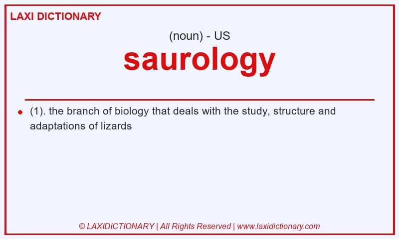Definition saurology in American English